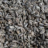 Roasted and salted sunflower seeds For Sale
