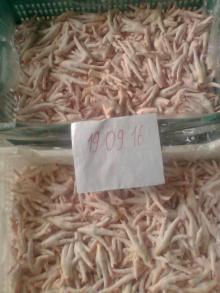 Frozen Chicken Paw Grade A