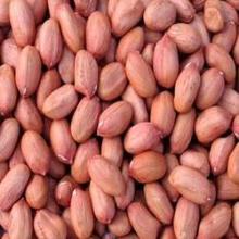  Peanut s
