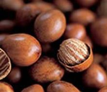 Shea nuts