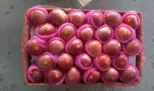 2016  new   fresh   apple  fruit