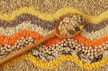 Grains
