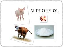 Nutricorn Amino Acid Powder 60% Feed Grade