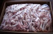 Frozen Whole Chicken/ Chicken Feet/Chicken Paw