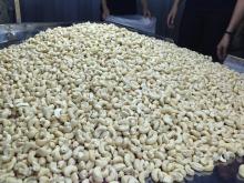 White Whole/ Split Cashew Nuts/ Cashew Kernels WW240/ WW320/ WW450/ WS/ LP/ SP for sale