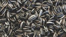 sunflower oil seeds