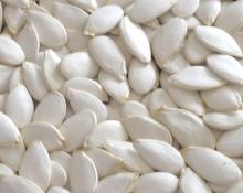 white pumpkin seeds in shell with high quality and competitive price