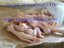 Halal  Chicken  Feet /  Frozen   Chicken  Paws  Brazil  / Fresh  chicken  wings and feett
