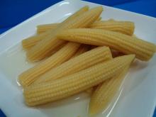VIETNAM CANNED BABY CORN/ THE HIGH QUALITY