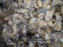 SKIN STRAW MUSHROOM