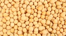 YELLOW PEAS Ports of Ukraine, Russia & Kazakhstan