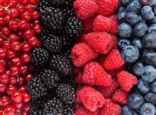 natural Blackberry Fruit powder ,  herbal   ingredients , fruit powder, fruit extract, Chinese manufactu