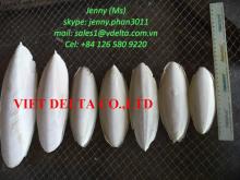 Cuttlefish bone for pet toy