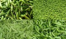 High Quality  Green  beans,  Green  peas,  Green  &  Red  Chilli