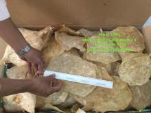  DRIED   PANGASIUS  FISH MAW (Swim bladder)