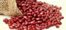 Adzuki Beans/small red Adzuki Beans /new crop Adzuki Beans