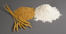Wheat Flour Available For Sale & Export