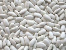 White kidney beans