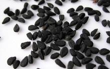Nigella sativa seeds Best Quality