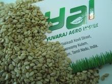 Somalia Origin Natural  Sesame   Seeds  - 99.95%