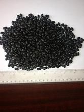 New Crop Ethiopian  Black   Cumin  Seed
