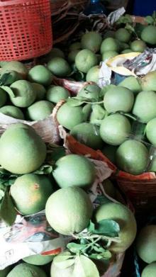  Fresh   Pomelo 