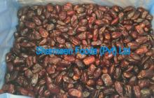 Aseel  Pitted   Dates 