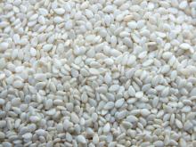 hulled sesame seeds