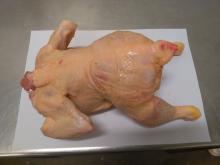FROZEN WHOLE  CHICKEN  -  HALAL  CUT