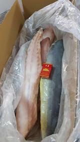 mahimahi fillets