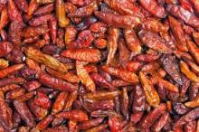 Dried Red Chilly Pepper