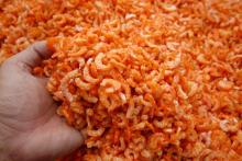 Dried Red Shrimp