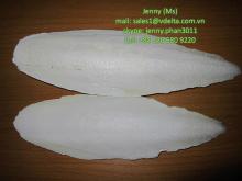 Dry cuttlefish for bird