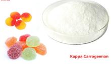 Chinese suppiler food additives carrageenan powder