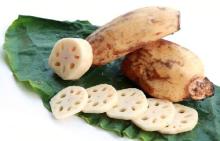SALTED LOTUS SHOOT GOOD AT QUALITY