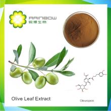 Olive Leaf Extract-Oleuropein,Hydroxytyrosol