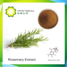 Rosemary Extract -Rosmarinic acid,Carnosic acid