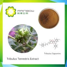  Tribulus   Extract  - Tribulus  Saponins
