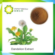 Dandelion Extract