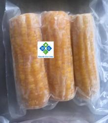 IQF Sweet Corn Cobs