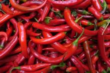 Quality Dried Red Chili