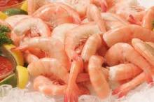 frozen  pink   shrimp   PUD 