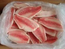  Red   Fish  Fillet