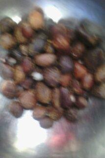 palm kernel nuts