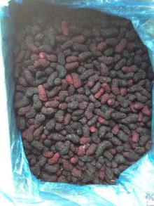  Frozen  mulberry, IQF mulberry whole