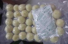 fresh  single   garlic 