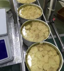 Canned White Tuna solid in oil 6X1.88kg/dw1.26kg