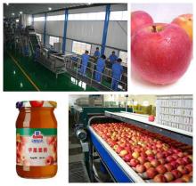 Apple, Pear Processing Line machine