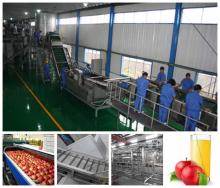 Apple juice production line machine