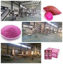 Purple sweet  potato   processing   line  machine